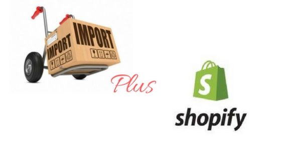 How To Make Money With Shopify & Mini Importation Business